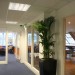�cole de langue EC � Londres