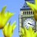 �cole de langue Regent � Londres
