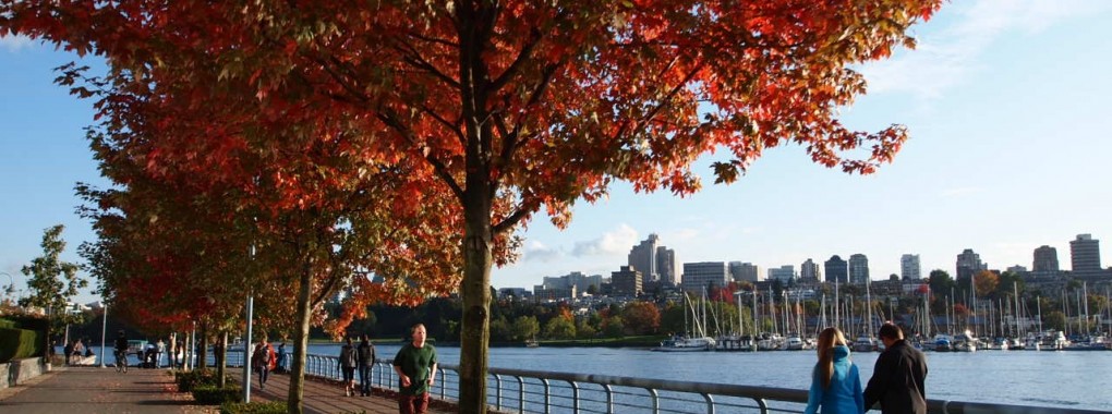 Un séjour linguistique au Canada pensé pour les étudiants et adultes