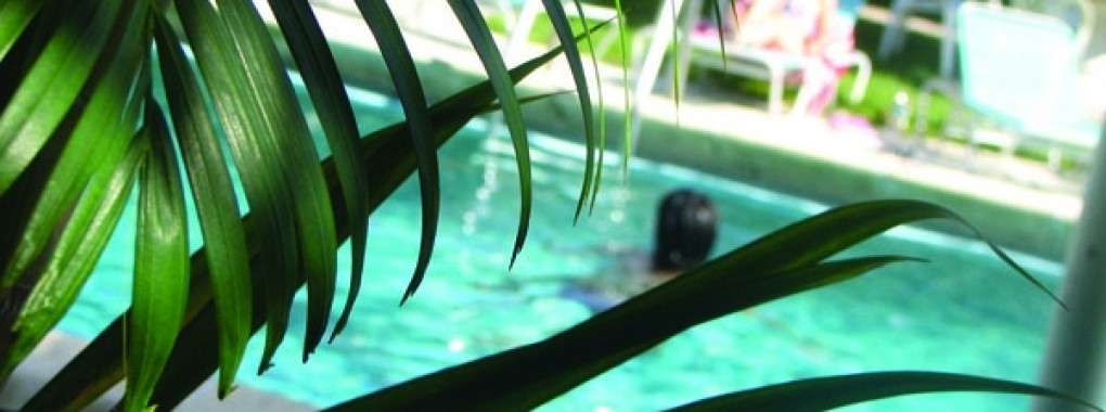 Séjour linguistique Fort Lauderdale étudiants et adultes