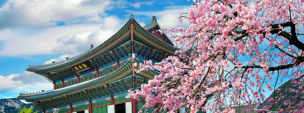 Séjour linguistique en Corée du Sud pour les jeunes